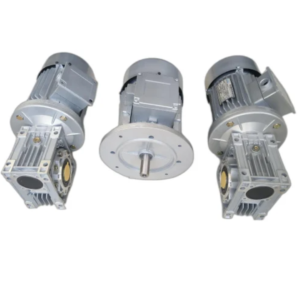 0.5 HP AC Induction Motor Worm Gear Box